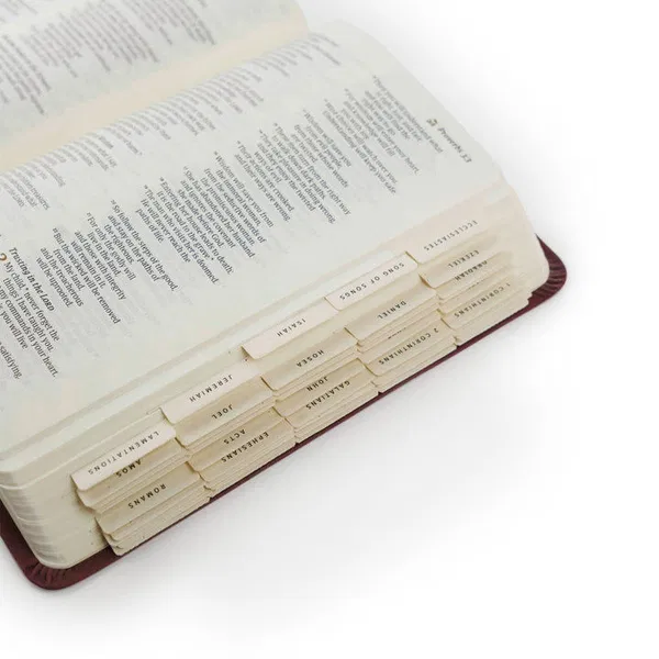 250-1021 Product Image 2
