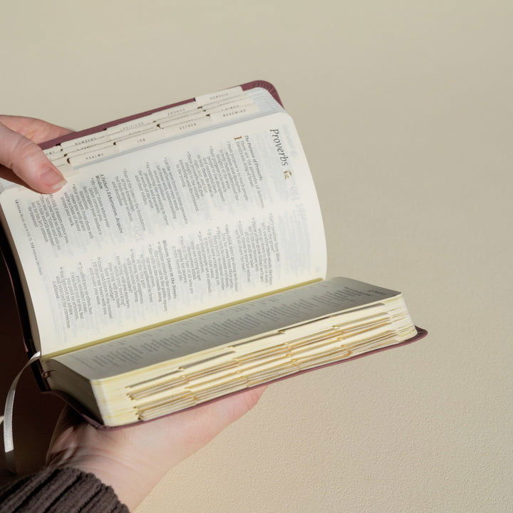 250-1021 Product Image 7