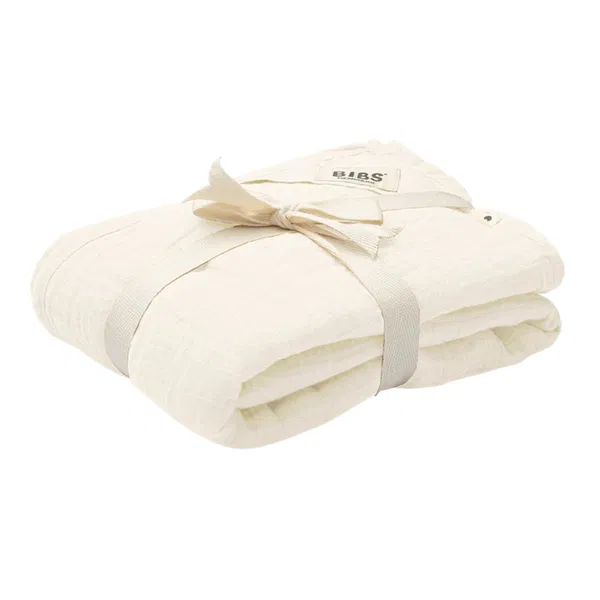 300-1099 Product Image 1