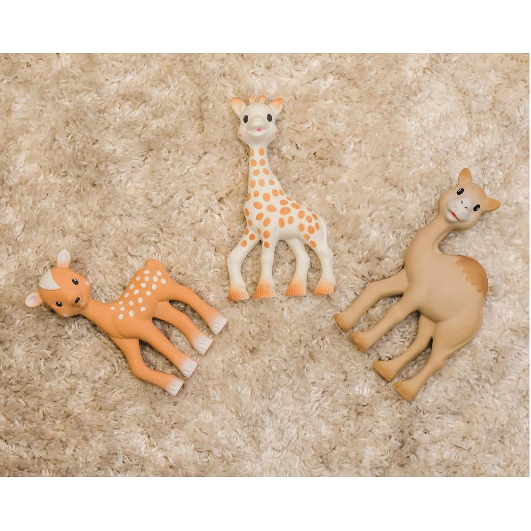 Product 300-1137 - View 4 300-1137 Product Image 4