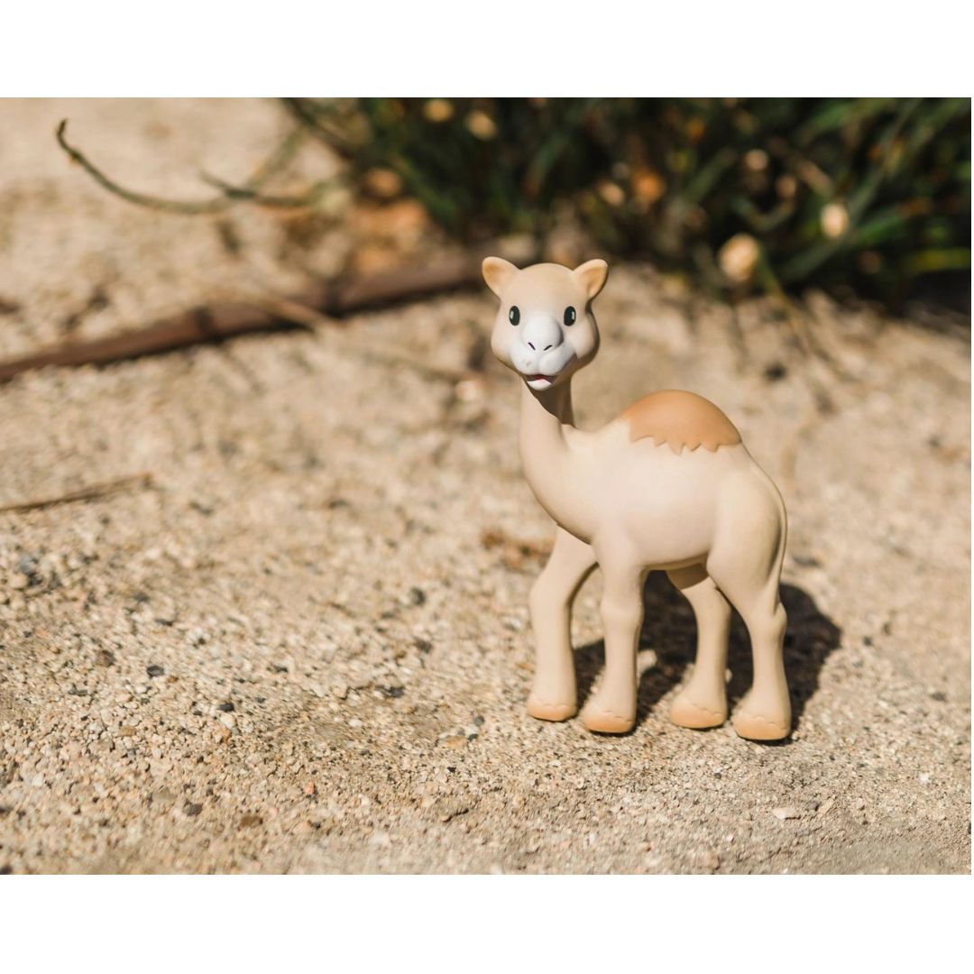 Product 300-1137 - View 5 300-1137 Product Image 5