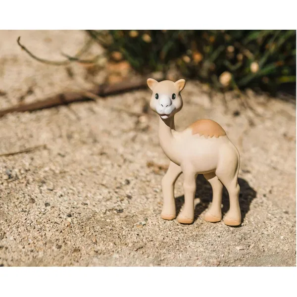 300-1137 Product Image 5