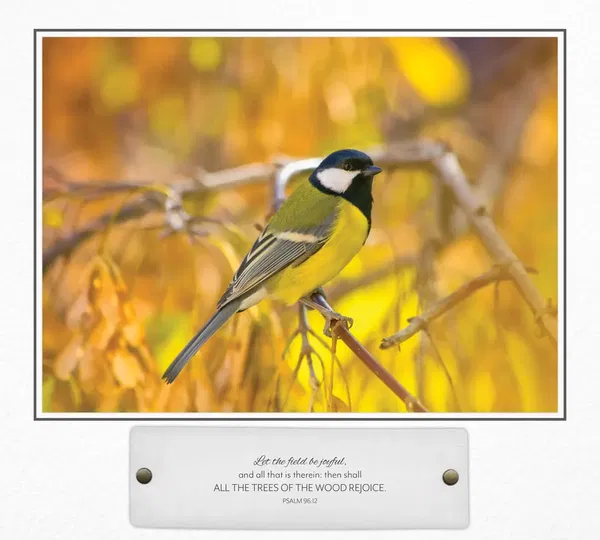 310-0736 Product Image 5