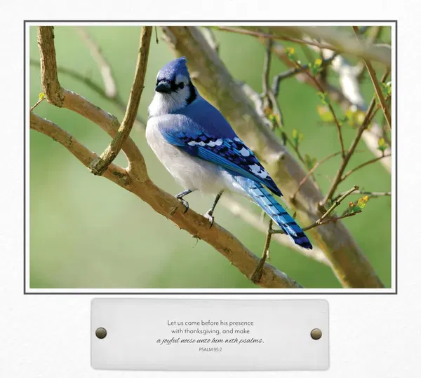 310-0736 Product Image 6