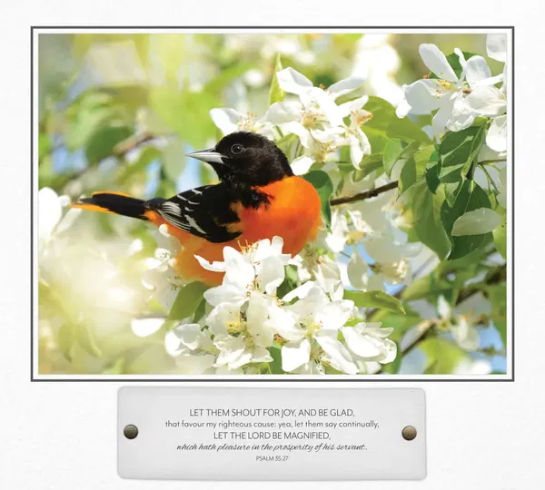 310-0736 Product Image 8
