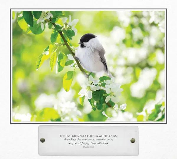 310-0736 Product Image 9