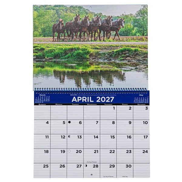 310-0741 Product Image 5