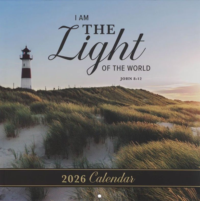 310-1017 Product Image 1