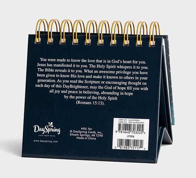 Product 315-0002 - View 4 315-0002 Product Image 4