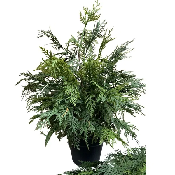 350-0119 Product Image 1