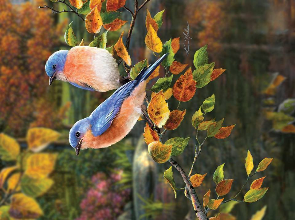 Product 352-3904 - View 1 352-3904 Product Image 1