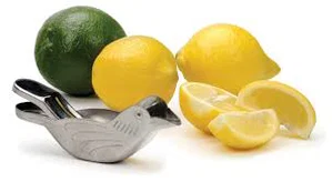 Bird Citrus Squeezer