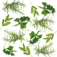 Napkins Greenery