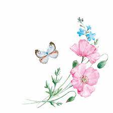 Product 365-0069 - View 1 365-0069 Product Image 1