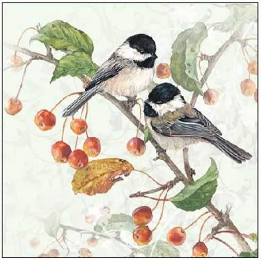 365-0074 Product Image 1