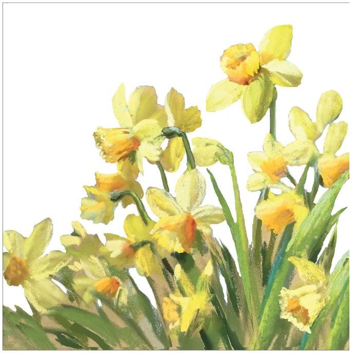 365-0076 Product Image 1