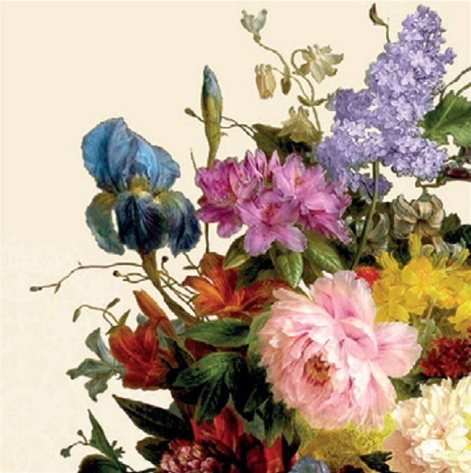 365-0079 Product Image 1