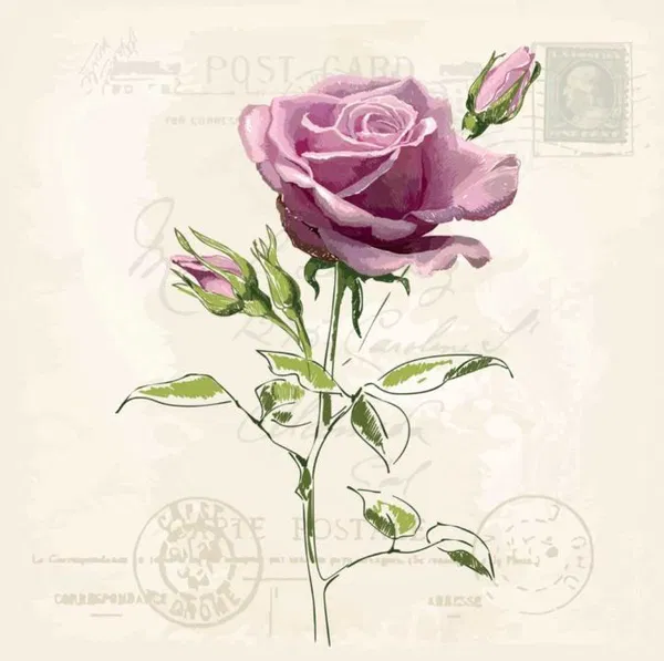 365-0087 Product Image 1