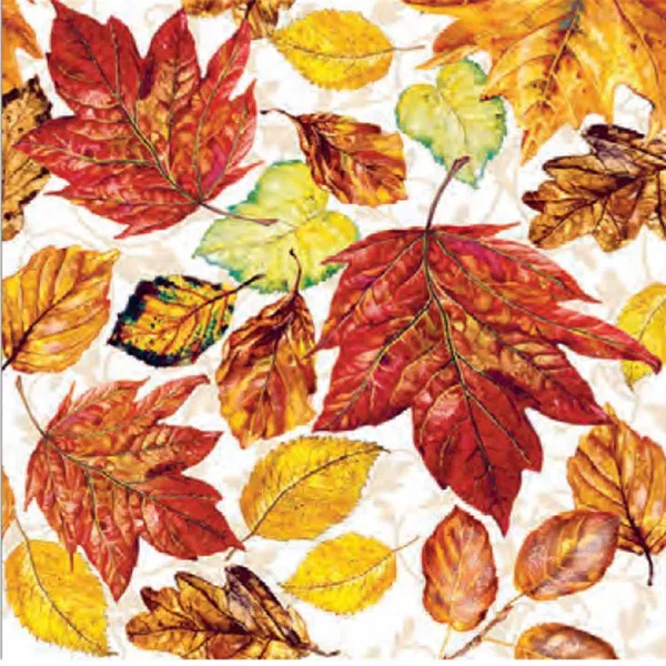 365-0124 Product Image 1