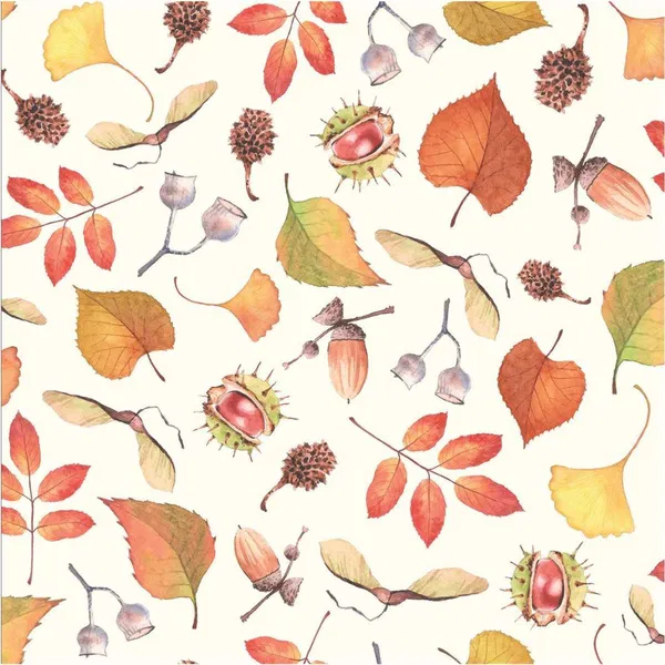 365-0125 Product Image 1