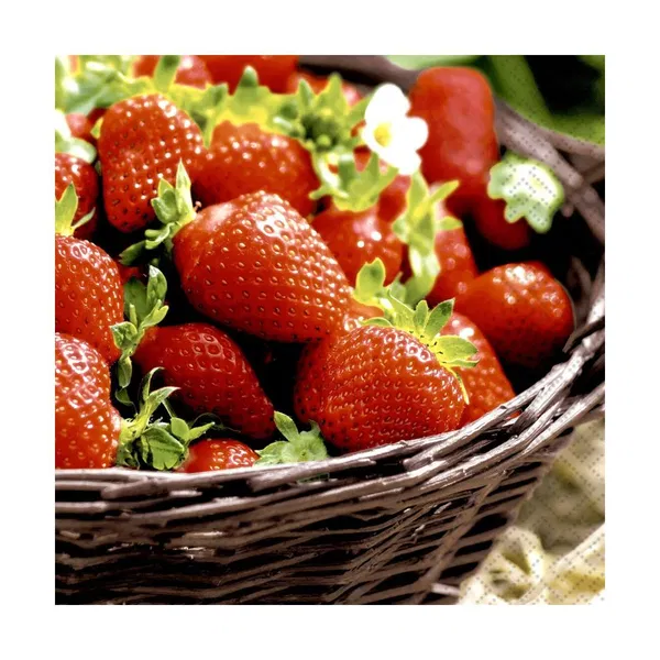 365-0138 Product Image 1