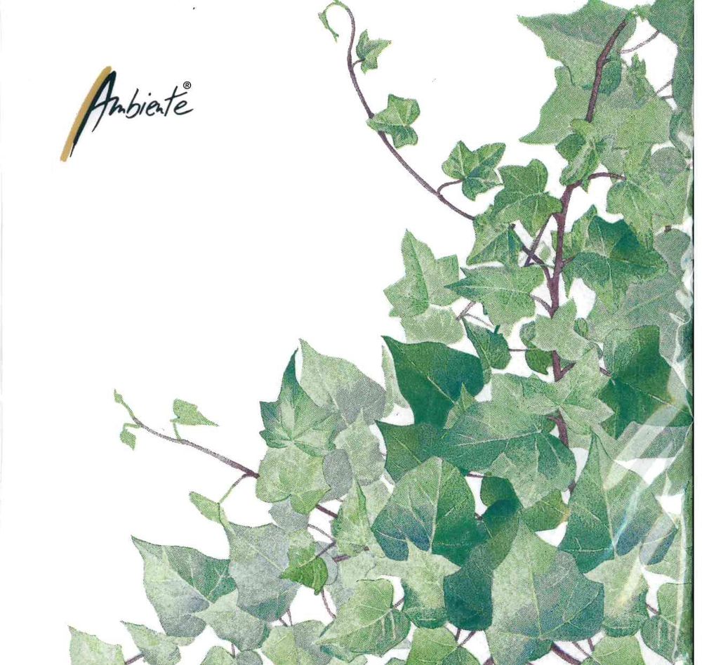 365-0144 Product Image 1