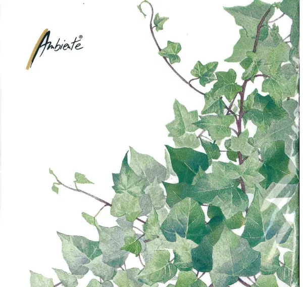 365-0144 Product Image 1
