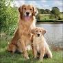 365-0146 Product Image 1