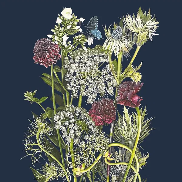 365-0153 Product Image 1
