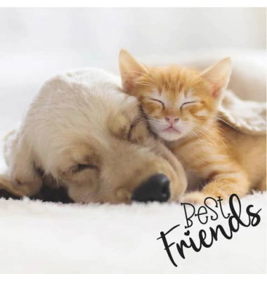 365-0163 Product Image 1