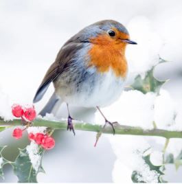 365-0188 Product Image 1