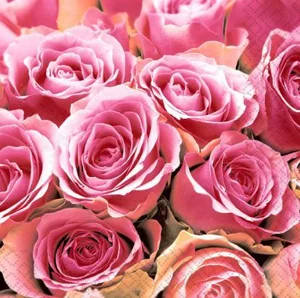 Pink Roses - Luncheon Napkin