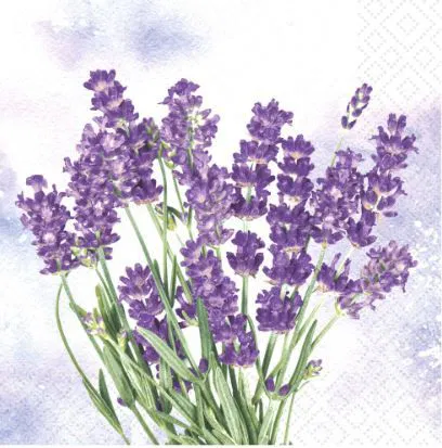 365-0204 Product Image 1