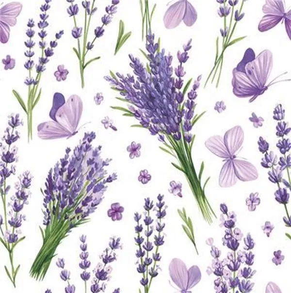 365-0234 Product Image 1