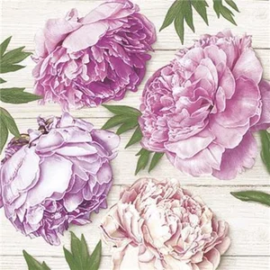 Peonies Paper Napkin