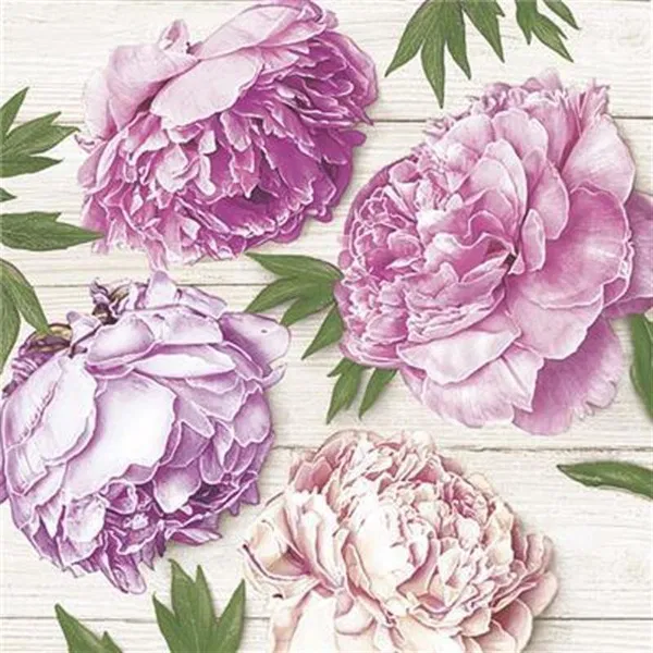 365-0240 Product Image 1