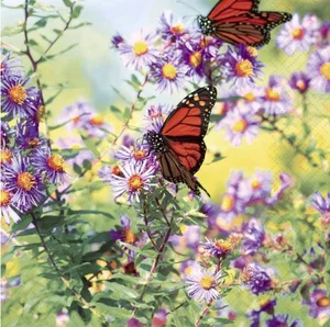 Papillons - Luncheon Napkin