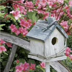 Spring Birdhouse - Luncheon Napkin