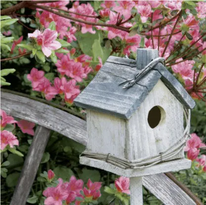 365-0257 Product Image 1