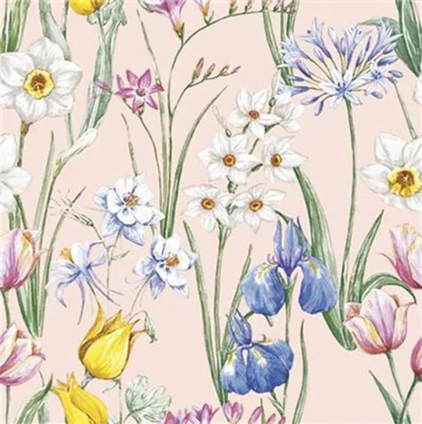 365-0269 Product Image 1
