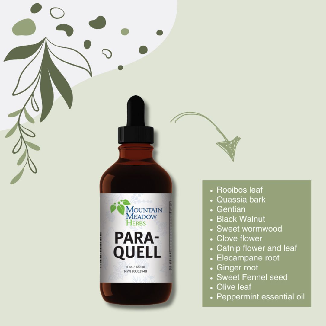 Product 440-1004 - View 2 440-1004 Product Image 2