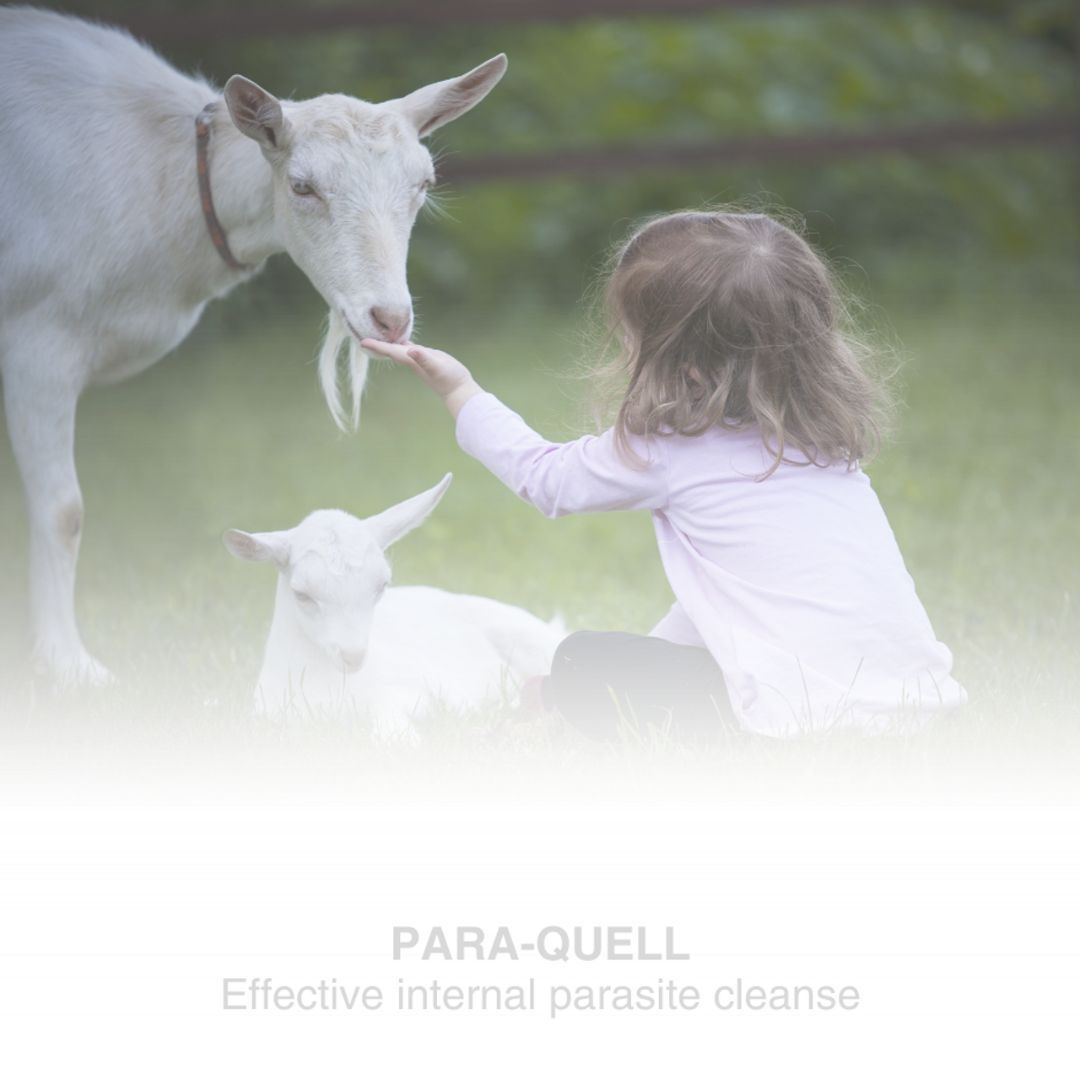 Product 440-1004 - View 3 440-1004 Product Image 3