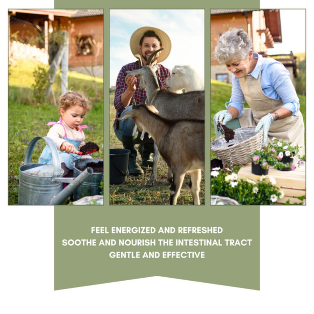 Product 440-1004 - View 4 440-1004 Product Image 4