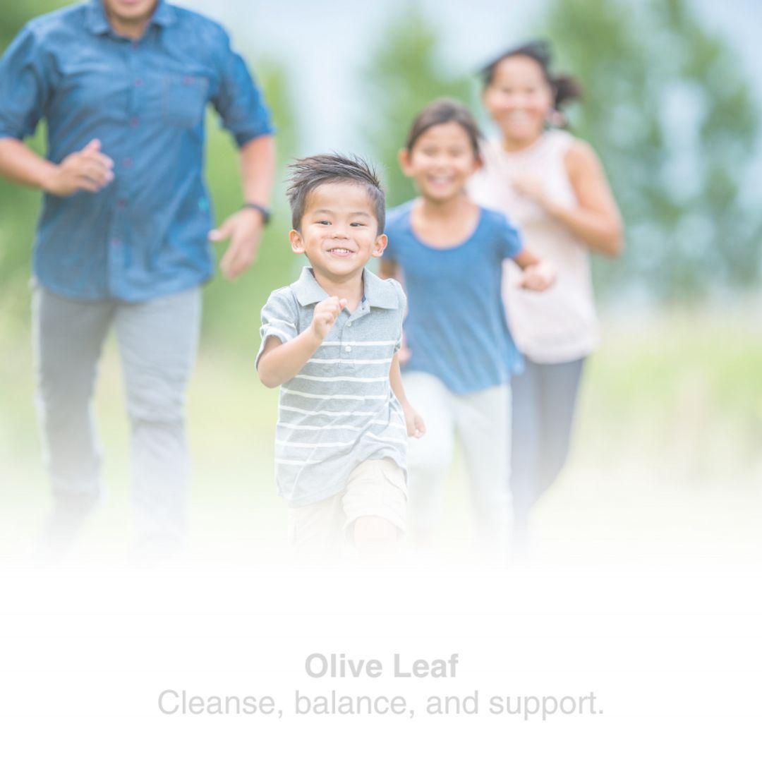 440-1019 Product Image 2