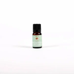 Pure Essential Oil Eucalyptus 10 mL