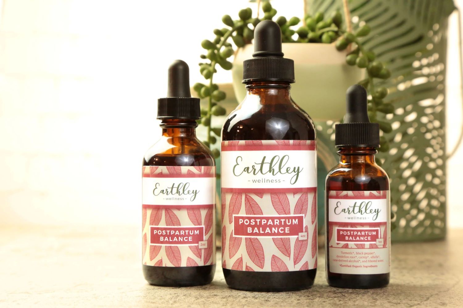 440-1075 Product Image 2