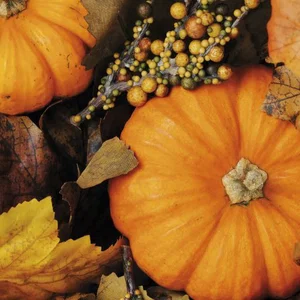 Fall Pumpkins Luncheon Napkin