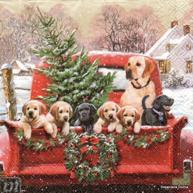 451-0066 Product Image 1