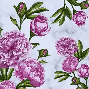Napkins Lovely Peonies 20 Pk