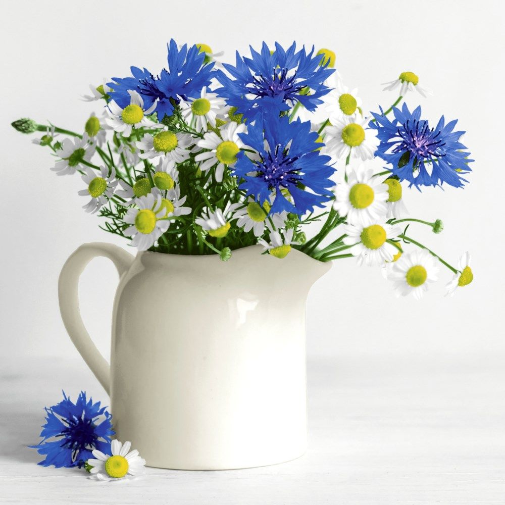 451-0110 Product Image 1